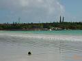 île de pins (2)